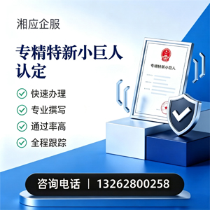 晋中专精特新小巨人申报服务