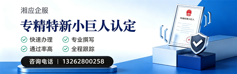 晋中专精特新小巨人申报服务